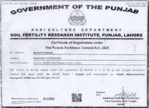 Bankwit Certificate 01