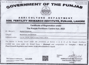 Bankwit Certificate 02