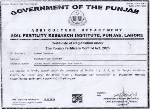 Bankwit Certificate 03