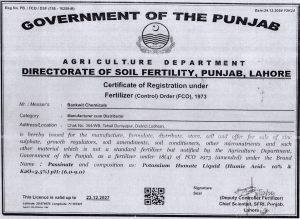 Bankwit Certificate 06