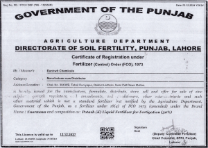 Bankwit Certificate 07