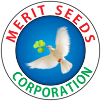 MERIT SEED CORPORATION